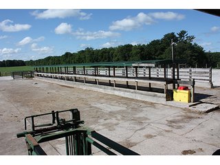Tract 2 - ABSOLUTE REAL ESTATE AUCTION, 520+/- Acres offered in 5 Tracts in Polk County