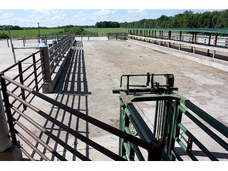Tract 2 - ABSOLUTE REAL ESTATE AUCTION, 520+/- Acres offered in 5 Tracts in Polk County