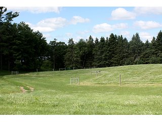 Tract 2 - ABSOLUTE REAL ESTATE AUCTION, 520+/- Acres offered in 5 Tracts in Polk County