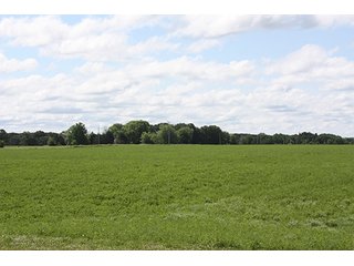 Tract 2 - ABSOLUTE REAL ESTATE AUCTION, 520+/- Acres offered in 5 Tracts in Polk County