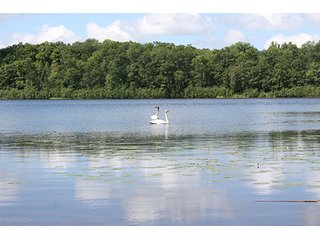 Tract 3 - ABSOLUTE REAL ESTATE AUCTION, 520+/- Acres offered in 5 Tracts in Polk County