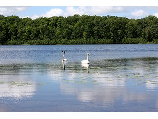 Tract 3 - ABSOLUTE REAL ESTATE AUCTION, 520+/- Acres offered in 5 Tracts in Polk County
