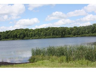 Tract 3 - ABSOLUTE REAL ESTATE AUCTION, 520+/- Acres offered in 5 Tracts in Polk County