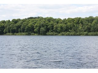 Tract 3 - ABSOLUTE REAL ESTATE AUCTION, 520+/- Acres offered in 5 Tracts in Polk County
