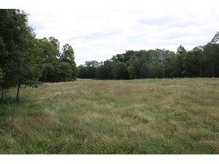 Property photo 36 - ABSOLUTE REAL ESTATE AUCTION, 520+/- Acres offered in 5 Tracts in Polk County