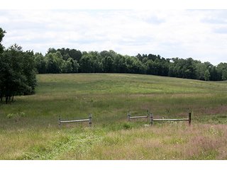 Property photo 37 - ABSOLUTE REAL ESTATE AUCTION, 520+/- Acres offered in 5 Tracts in Polk County