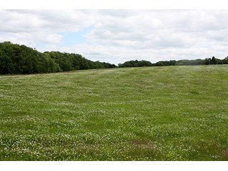 Property photo 38 - ABSOLUTE REAL ESTATE AUCTION, 520+/- Acres offered in 5 Tracts in Polk County