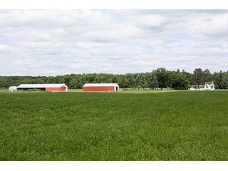 Tract 1 & 2 - ABSOLUTE REAL ESTATE AUCTION, 520+/- Acres offered in 5 Tracts in Polk County