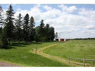 Tract 2 - ABSOLUTE REAL ESTATE AUCTION, 520+/- Acres offered in 5 Tracts in Polk County