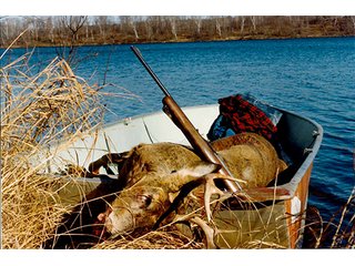 Lost Lake Deer - ABSOLUTE REAL ESTATE AUCTION, 520+/- Acres offered in 5 Tracts in Polk County