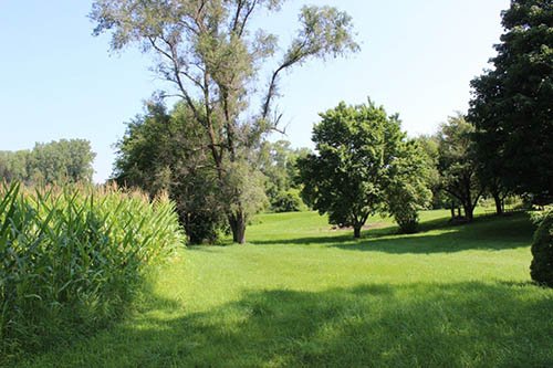 Property photo 7 - REAL ESTATE AUCTION - 16.9+/- Acres in 3 Tracts in Kosciusko County