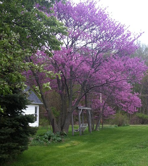 Property photo 3 - REAL ESTATE AUCTION - 16.9+/- Acres in 3 Tracts in Kosciusko County
