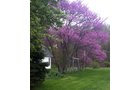 Property photo 3 - REAL ESTATE AUCTION - 16.9+/- Acres in 3 Tracts in Kosciusko County