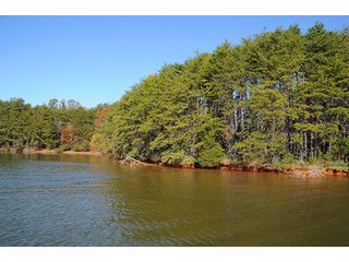 Property photo 22 - LAND AUCTION-SMITH MOUNTAIN LAKE-143+/- Acres Offered in 24 Estate Size Tracts in Franklin County