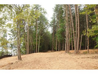 Property photo 11 - LAND AUCTION-SMITH MOUNTAIN LAKE-143+/- Acres Offered in 24 Estate Size Tracts in Franklin County