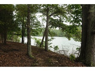 Property photo 13 - LAND AUCTION-SMITH MOUNTAIN LAKE-143+/- Acres Offered in 24 Estate Size Tracts in Franklin County