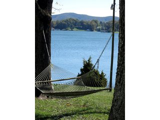 Property photo 21 - LAND AUCTION-SMITH MOUNTAIN LAKE-143+/- Acres Offered in 24 Estate Size Tracts in Franklin County