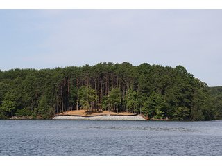 Property photo 8 - LAND AUCTION-SMITH MOUNTAIN LAKE-143+/- Acres Offered in 24 Estate Size Tracts in Franklin County
