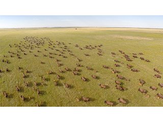 Property photo 47 - LAND AUCTION - WILDER BUFFALO RANCH ON 22,103+/- Acres offered in 13 Tracts in Sioux & Corson Counties