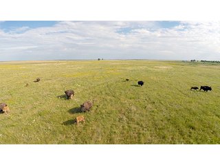 Property photo 39 - LAND AUCTION - WILDER BUFFALO RANCH ON 22,103+/- Acres offered in 13 Tracts in Sioux & Corson Counties