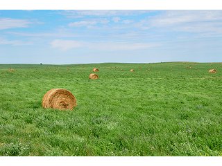 Property photo 42 - LAND AUCTION - WILDER BUFFALO RANCH ON 22,103+/- Acres offered in 13 Tracts in Sioux & Corson Counties