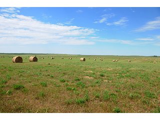 Property photo 43 - LAND AUCTION - WILDER BUFFALO RANCH ON 22,103+/- Acres offered in 13 Tracts in Sioux & Corson Counties