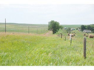 Property photo 44 - LAND AUCTION - WILDER BUFFALO RANCH ON 22,103+/- Acres offered in 13 Tracts in Sioux & Corson Counties