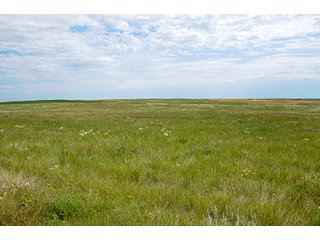 Property photo 36 - LAND AUCTION - WILDER BUFFALO RANCH ON 22,103+/- Acres offered in 13 Tracts in Sioux & Corson Counties