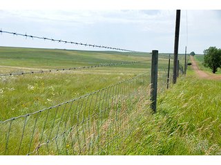Property photo 45 - LAND AUCTION - WILDER BUFFALO RANCH ON 22,103+/- Acres offered in 13 Tracts in Sioux & Corson Counties