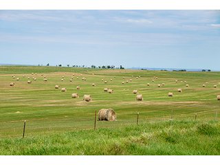 Property photo 35 - LAND AUCTION - WILDER BUFFALO RANCH ON 22,103+/- Acres offered in 13 Tracts in Sioux & Corson Counties