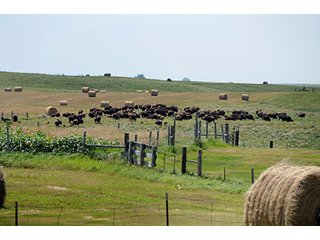 Property photo 34 - LAND AUCTION - WILDER BUFFALO RANCH ON 22,103+/- Acres offered in 13 Tracts in Sioux & Corson Counties