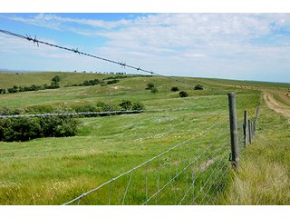 Tract 5 - LAND AUCTION - WILDER BUFFALO RANCH ON 22,103+/- Acres offered in 13 Tracts in Sioux & Corson Counties