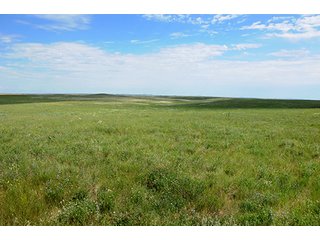 Tract 1 - LAND AUCTION - WILDER BUFFALO RANCH ON 22,103+/- Acres offered in 13 Tracts in Sioux & Corson Counties