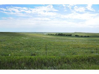 Tract 7 - LAND AUCTION - WILDER BUFFALO RANCH ON 22,103+/- Acres offered in 13 Tracts in Sioux & Corson Counties