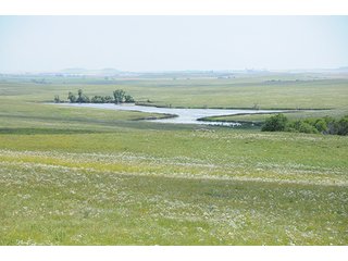 Property photo 48 - LAND AUCTION - WILDER BUFFALO RANCH ON 22,103+/- Acres offered in 13 Tracts in Sioux & Corson Counties