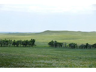 Tract 7 - LAND AUCTION - WILDER BUFFALO RANCH ON 22,103+/- Acres offered in 13 Tracts in Sioux & Corson Counties