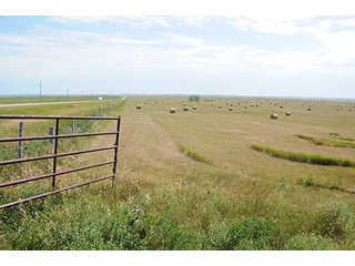 Property photo 49 - LAND AUCTION - WILDER BUFFALO RANCH ON 22,103+/- Acres offered in 13 Tracts in Sioux & Corson Counties