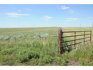 Property photo 50 - LAND AUCTION - WILDER BUFFALO RANCH ON 22,103+/- Acres offered in 13 Tracts in Sioux & Corson Counties