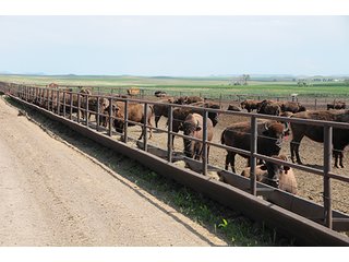 Tract 7 - LAND AUCTION - WILDER BUFFALO RANCH ON 22,103+/- Acres offered in 13 Tracts in Sioux & Corson Counties