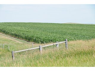 Property photo 53 - LAND AUCTION - WILDER BUFFALO RANCH ON 22,103+/- Acres offered in 13 Tracts in Sioux & Corson Counties