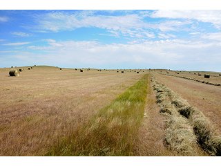 Property photo 41 - LAND AUCTION - WILDER BUFFALO RANCH ON 22,103+/- Acres offered in 13 Tracts in Sioux & Corson Counties