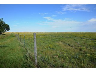 Property photo 31 - LAND AUCTION - WILDER BUFFALO RANCH ON 22,103+/- Acres offered in 13 Tracts in Sioux & Corson Counties