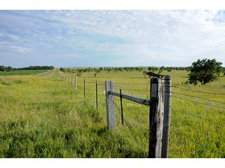 Tract 13 - LAND AUCTION - WILDER BUFFALO RANCH ON 22,103+/- Acres offered in 13 Tracts in Sioux & Corson Counties