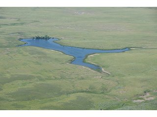 Property photo 17 - LAND AUCTION - WILDER BUFFALO RANCH ON 22,103+/- Acres offered in 13 Tracts in Sioux & Corson Counties