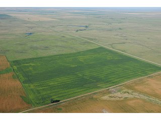 Property photo 15 - LAND AUCTION - WILDER BUFFALO RANCH ON 22,103+/- Acres offered in 13 Tracts in Sioux & Corson Counties