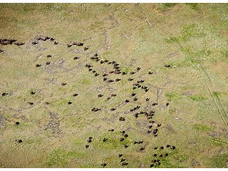 Tract 12 - LAND AUCTION - WILDER BUFFALO RANCH ON 22,103+/- Acres offered in 13 Tracts in Sioux & Corson Counties