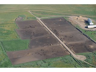 Property photo 18 - LAND AUCTION - WILDER BUFFALO RANCH ON 22,103+/- Acres offered in 13 Tracts in Sioux & Corson Counties