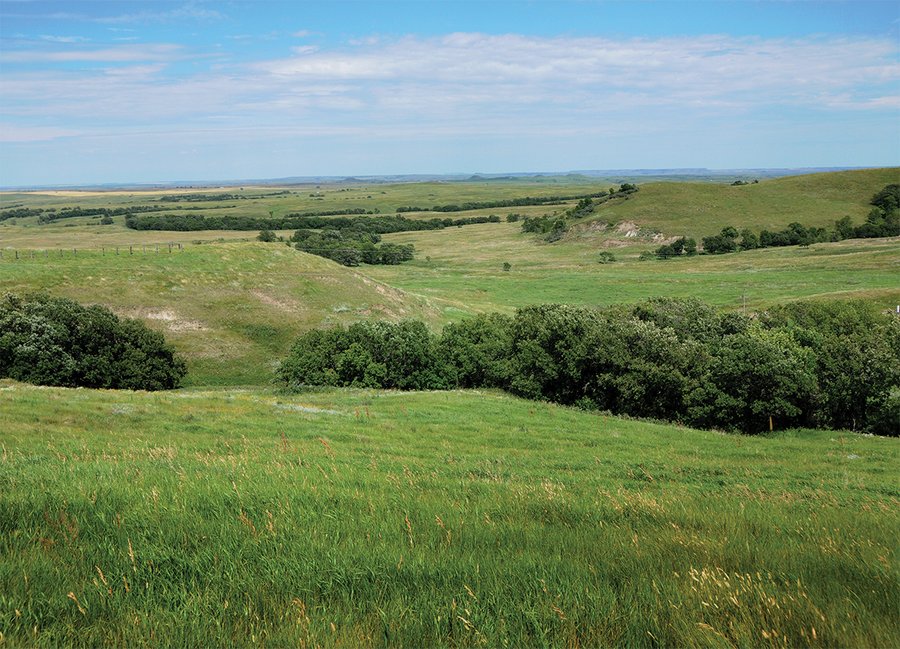 LAND AUCTION - WILDER BUFFALO RANCH ON 22,103+/- Acres offered in 13 Tracts in Sioux & Corson Counties