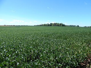 Tract 3 - MICHIGAN LAND AUCTION - 413+/- ACRES OFFERED IN 11 TRACTS IN BARRY & EATON COUNTIES