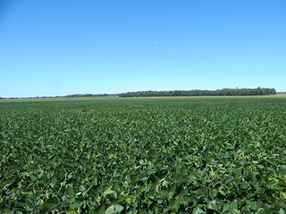 Tract 3 - MICHIGAN LAND AUCTION - 413+/- ACRES OFFERED IN 11 TRACTS IN BARRY & EATON COUNTIES